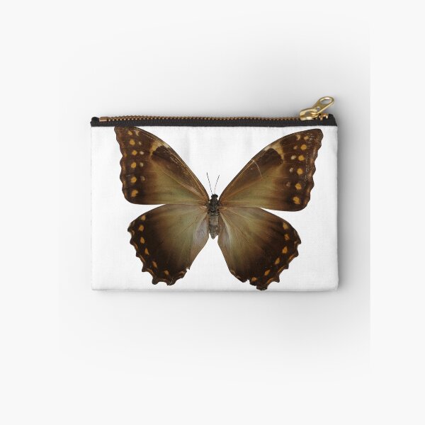 Item preview, Morpho telemachus  designed and sold by Entomologist.