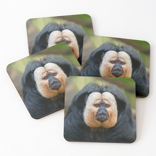 Item preview, Saki Monkey with Intense Stare designed and sold by rawshutterbug.