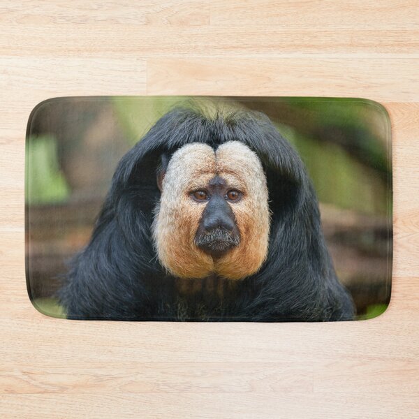 Item preview, Saki Monkey with Intense Stare designed and sold by rawshutterbug.