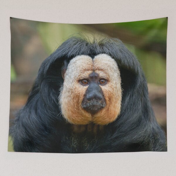Item preview, Saki Monkey with Intense Stare designed and sold by rawshutterbug.