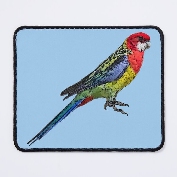 Item preview, Eastern Rosella Color Design designed and sold by designsasstultd.