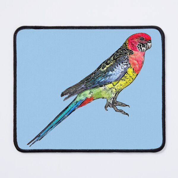 Item preview, Eastern Rosella Black Alternate Design designed and sold by designsasstultd.