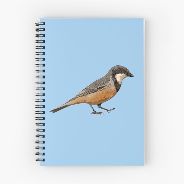 Item preview, Rufous Whistler Color Design  designed and sold by designsasstultd.
