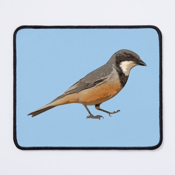 Item preview, Rufous Whistler Color Design  designed and sold by designsasstultd.