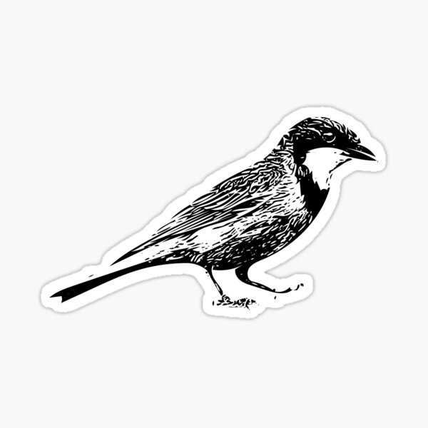 Item preview, Rufous Whistler Black Design  designed and sold by designsasstultd.