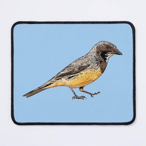 Item preview, Rufous Whistler Black Alternate Design  designed and sold by designsasstultd.