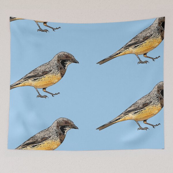 Item preview, Rufous Whistler Black Alternate Design  designed and sold by designsasstultd.
