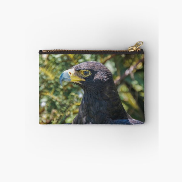 Artikelvorschau, Verreauxs Adler - Aquila verreauxii (Schwarzer Adler) entworfen und verkauft von Deborah V Townsend.