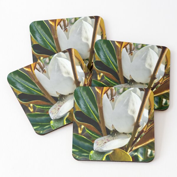 Item preview, Magnolia & the bee designed and sold by AliciaSanson.