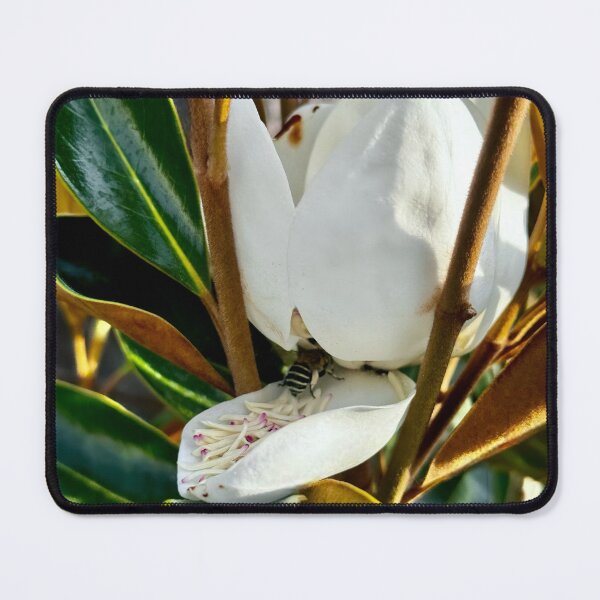 Item preview, Magnolia & the bee designed and sold by AliciaSanson.