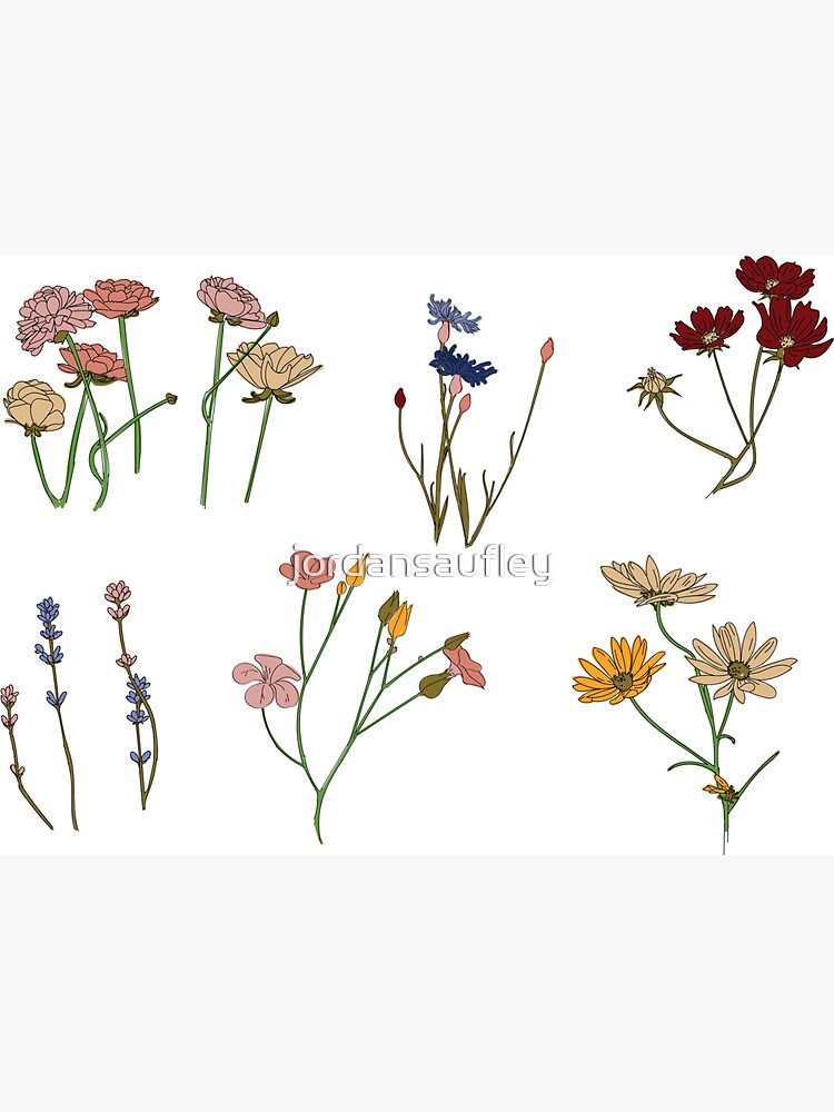 flower garden by jordansaufley