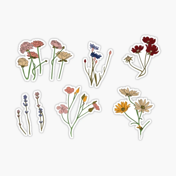 DISH// 2024 「GARDEN」 random sticker DISH// 2024 「GARDEN」 random sticker 81WKIesztLL._UF1000