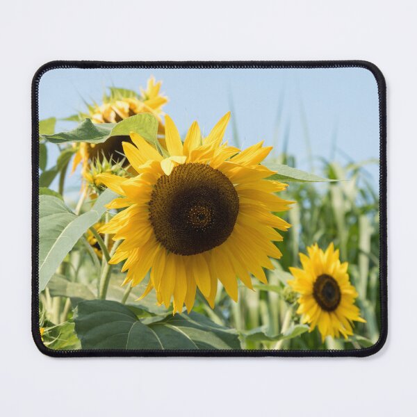 Item preview, Summery Sunflowers designed and sold by Georgia Mizuleva.