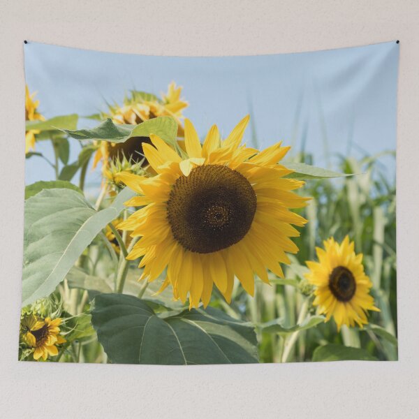 Item preview, Summery Sunflowers designed and sold by Georgia Mizuleva.