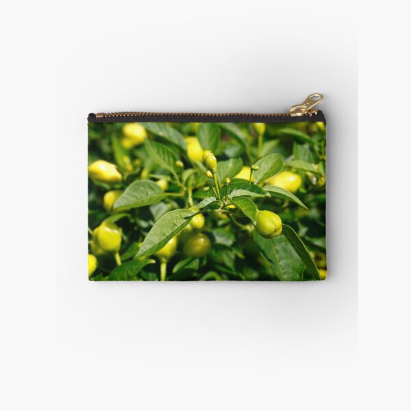 Item preview, Peppers designed and sold by Gaspar Avila.