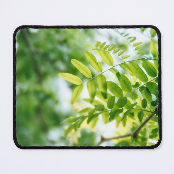 Item preview, Tiny green leaves photo, summer foliage, sunlight on leaves designed and sold by Hextrovert.