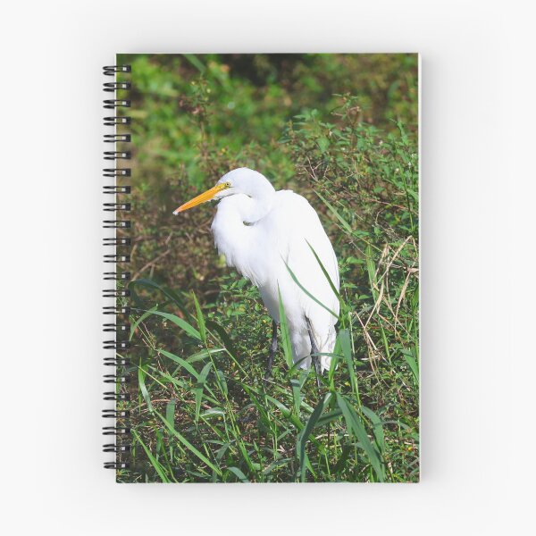 Item preview, White Egret in Boquete Panama Alvaro Miranda Bird Photography designed and sold by Alvaro-Miranda.