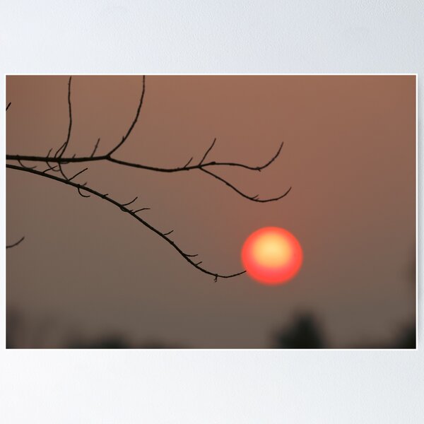 Touch the Sun Poster