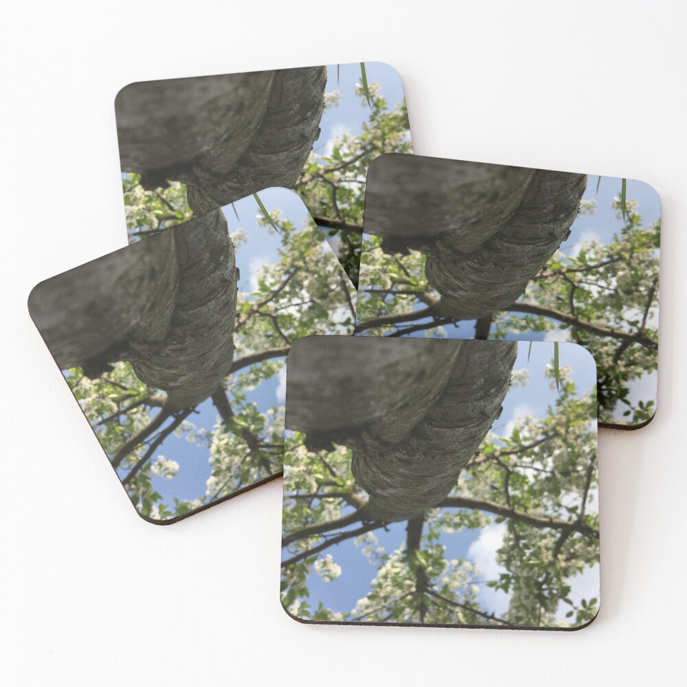 Item preview, Coasters (Set of 4) designed and sold by foxpaull.