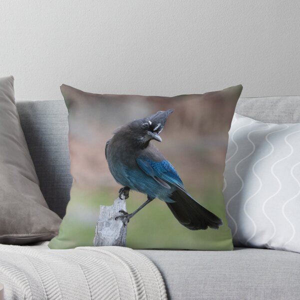 Item preview, Steller's Jay designed and sold by Eivor Kuchta.