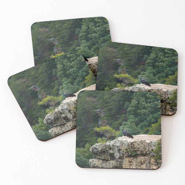 Item preview, On the Edge - Vultures designed and sold by TinyDinoDesigns.