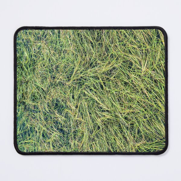 Artikelvorschau, Abstract of grass / reeds floating on a mountain pond entworfen und verkauft von Tim McGuire Fine Art.