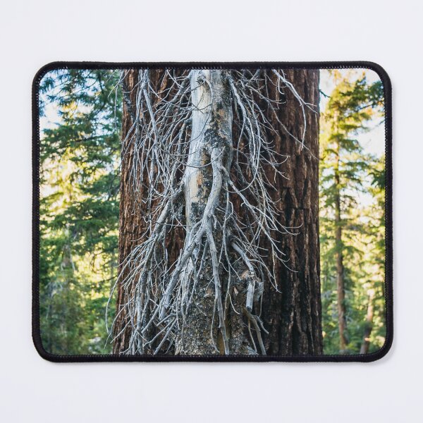 Item preview, Tree within a tree. designed and sold by Tim McGuire Fine Art.