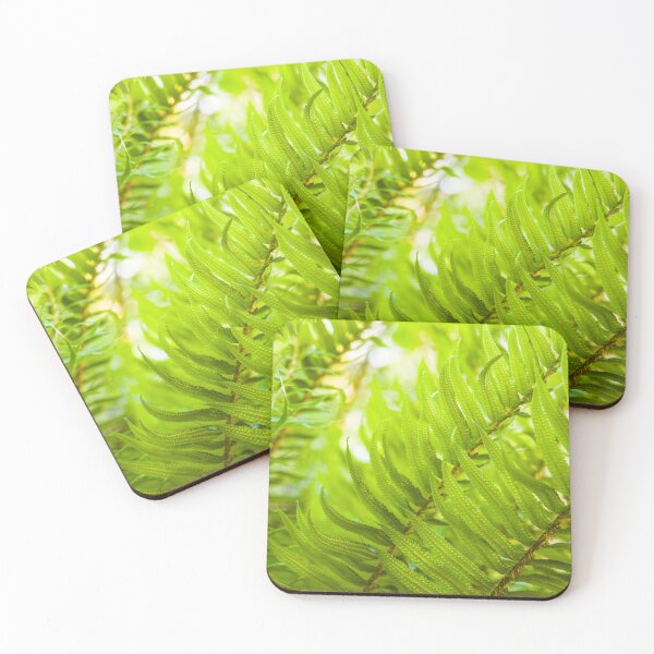 Artikelvorschau, Ferns Closeup entworfen und verkauft von Tim McGuire Fine Art.