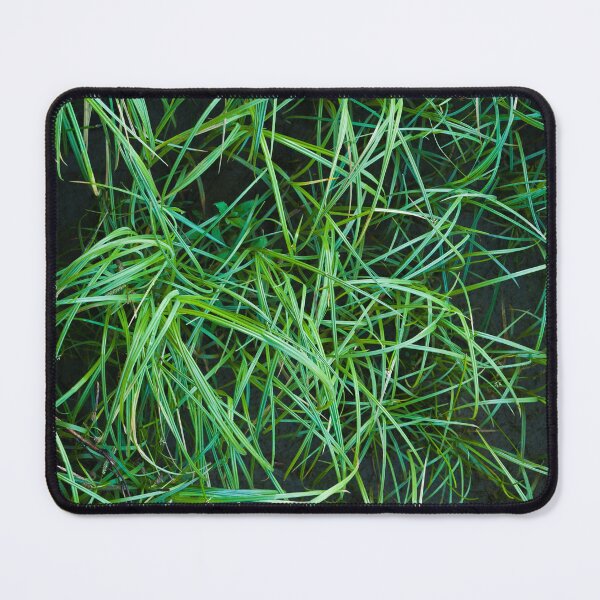 Artikelvorschau, Abstract Grasses entworfen und verkauft von Tim McGuire Fine Art.