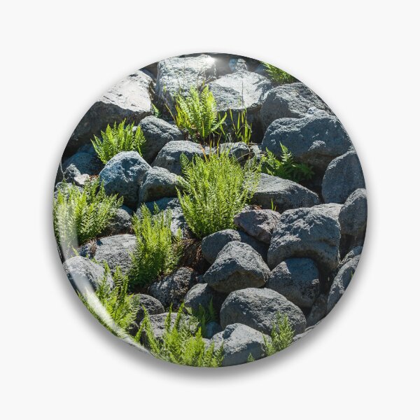 Artikelvorschau, Boulders and Plants entworfen und verkauft von Tim McGuire Fine Art.
