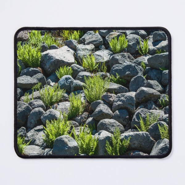 Artikelvorschau, Boulders and Plants entworfen und verkauft von Tim McGuire Fine Art.