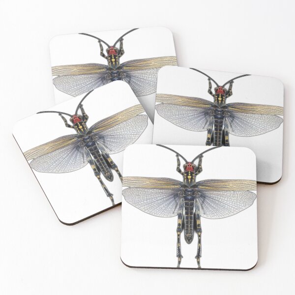 Item preview, insect designed and sold by blackwhiteblue.