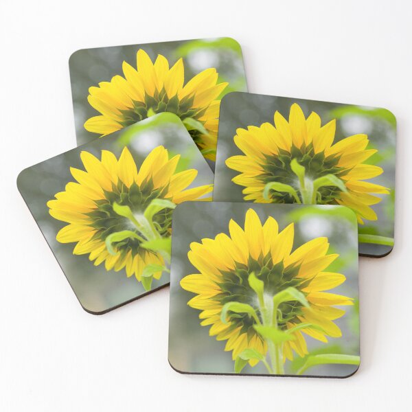 Item preview, Backside of Sunflower designed and sold by Tim McGuire Fine Art.
