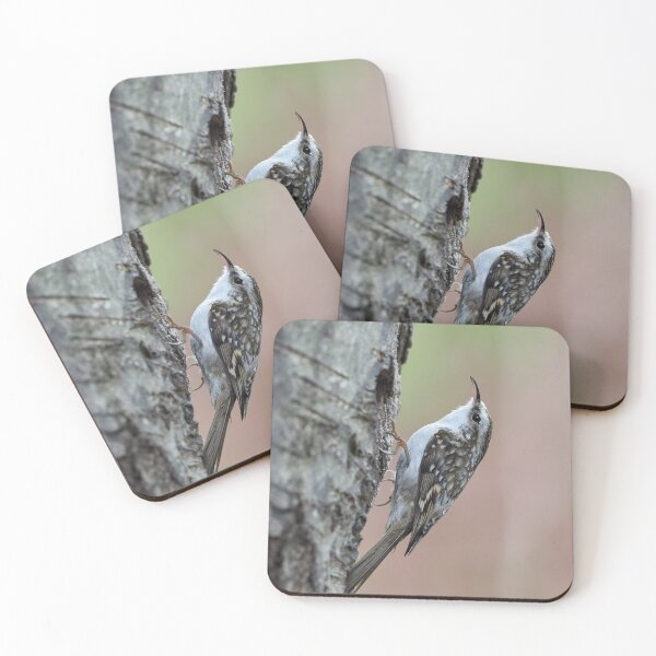 Item preview, Birchway. Eurasian treecreeper designed and sold by Jouko Lehto Photography.