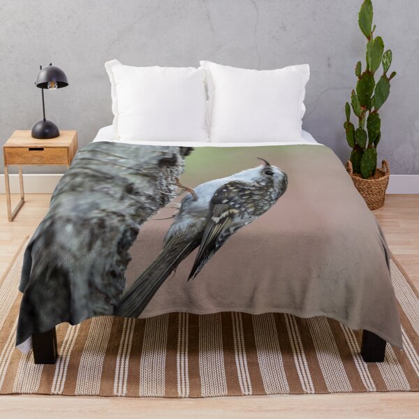Item preview, Birchway. Eurasian treecreeper designed and sold by Jouko Lehto Photography.