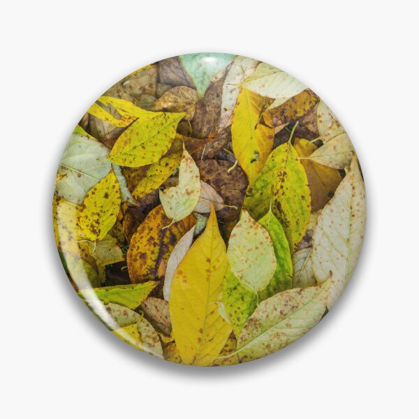 Artikelvorschau, Autumn Leaves entworfen und verkauft von Tim McGuire Fine Art.