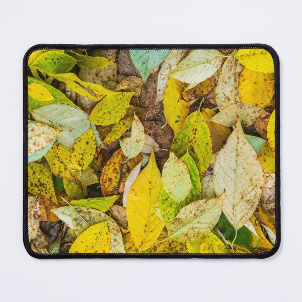 Artikelvorschau, Autumn Leaves entworfen und verkauft von Tim McGuire Fine Art.
