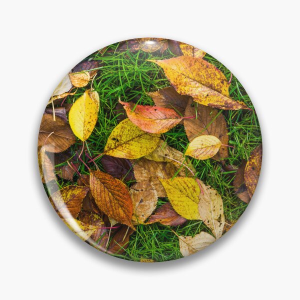 Artikelvorschau, Atumn Leaves on Green Grass entworfen und verkauft von Tim McGuire Fine Art.