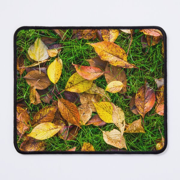 Artikelvorschau, Atumn Leaves on Green Grass entworfen und verkauft von Tim McGuire Fine Art.