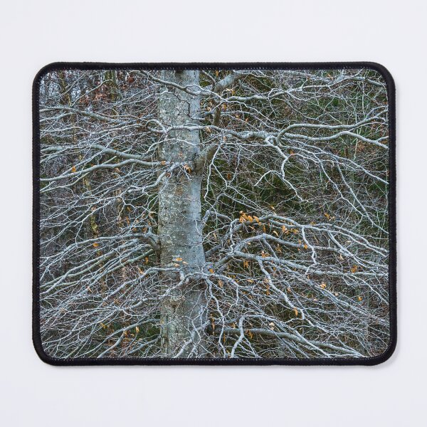 Item preview, Winter Tree Detail designed and sold by Tim McGuire Fine Art.