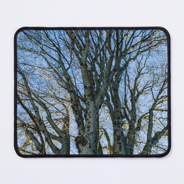 Item preview, Dramatic Tree and Sky designed and sold by Tim McGuire Fine Art.