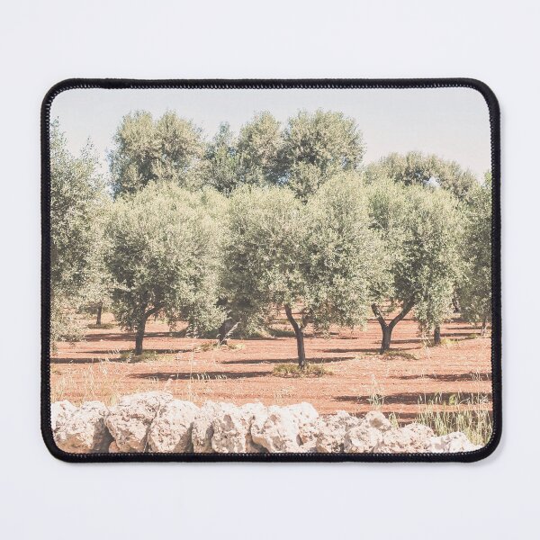 Item preview, Puglia, Italy I Photography of a field of olive trees in a nature park in the heart of Mediterranean landscape between blue skies and stone walls boho and wild in the italian tuscany countryside designed and sold by Julie Travel Photography.