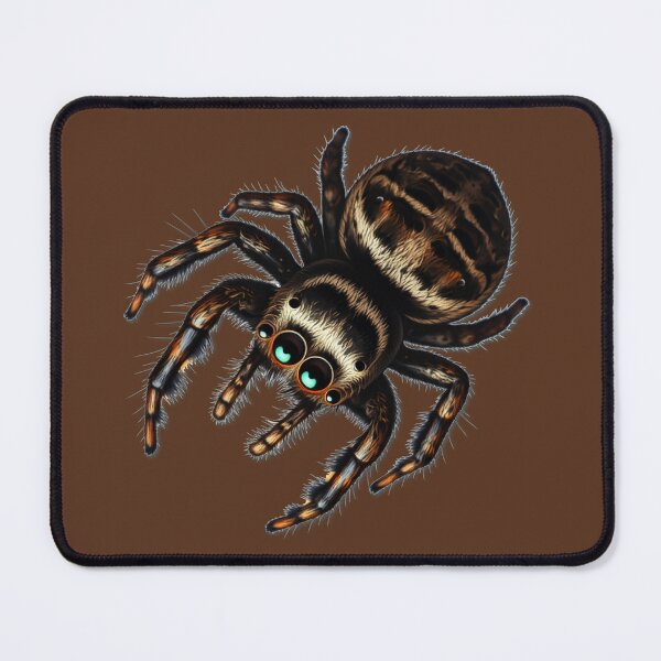 Item preview, BABY JUMPING SPIDER 2 designed and sold by Eyeba11.