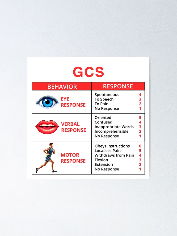 The Glasgow Coma Scale (GCS) Poster