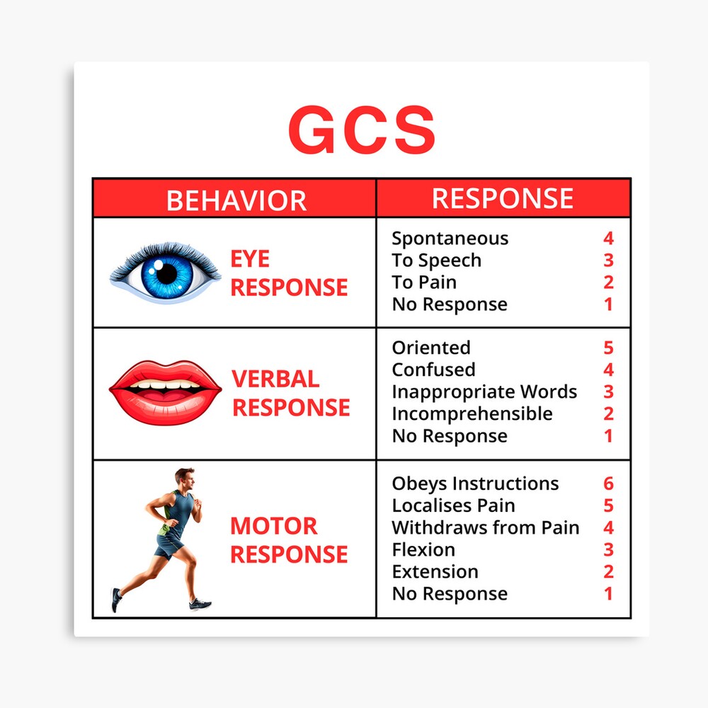 The Glasgow Coma Scale (GCS) Poster