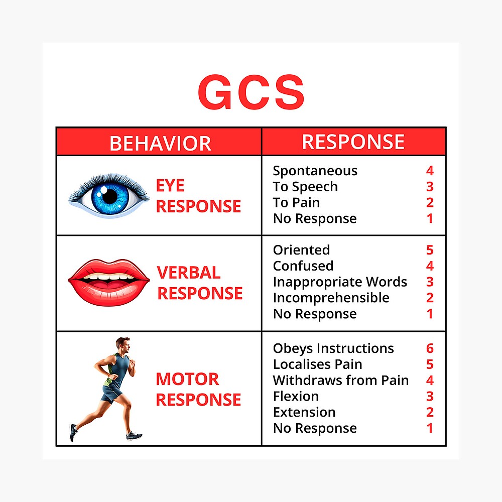 The Glasgow Coma Scale (GCS) Poster