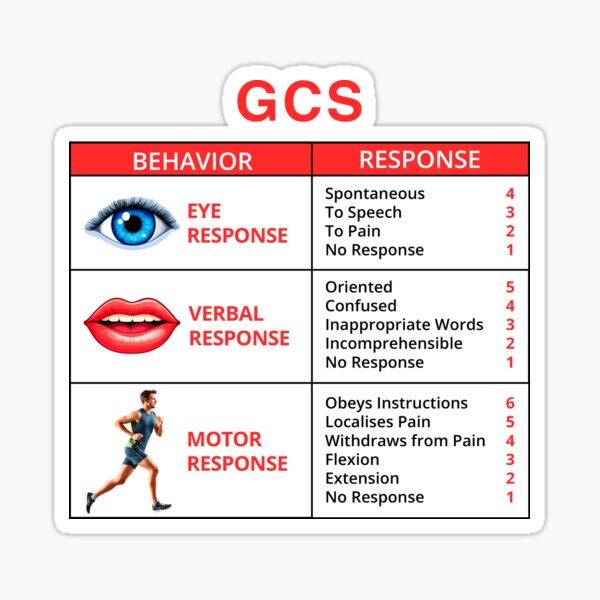 Item preview, The Glasgow Coma Scale (GCS) designed and sold by IspaDesigns.
