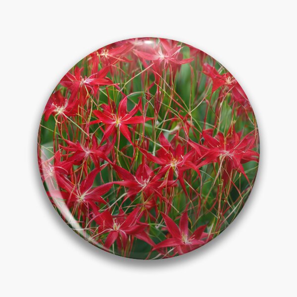 Item preview, Red lily designed and sold by R77shop.