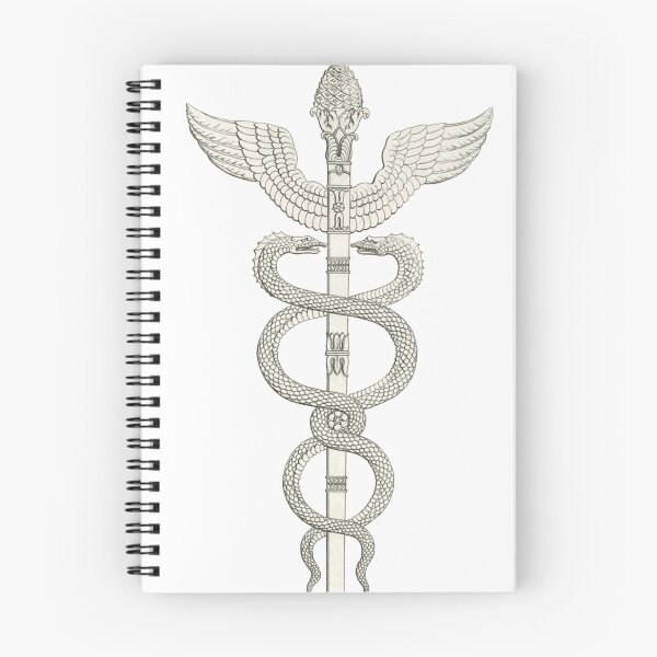 Item preview, Caduceus Illustration, Staff of Aesculapius designed and sold by HawthorneFlame.