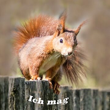 Vorschaubild zum Design Ich mag dich von Katja LebenFreude
